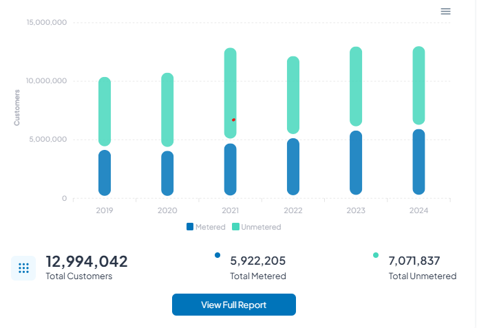 Total Customer Population